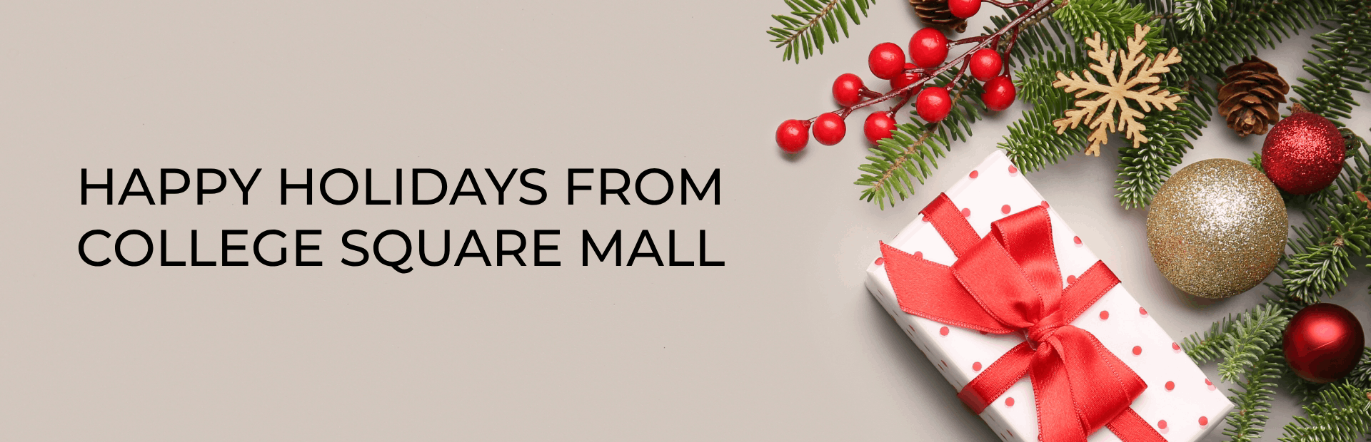 Happy Holidays from College Square Mall
